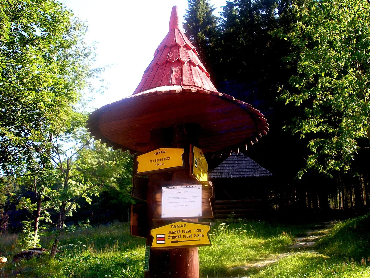Uitzicht over de Hoge Tatra bij Podbanske, met naaldbos op de voorgrond en een grillige bergkam op de achtergrond.